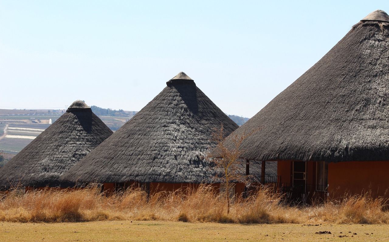 The Role of African Archaeology in Understanding Humanity